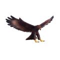 Mojo Adler