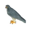 Mojo Wanderfalke