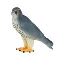 Mojo Wanderfalke