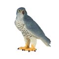Mojo Wanderfalke