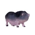 Mojo Hängebauchschwein