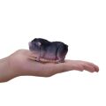 Mojo Hängebauchschwein