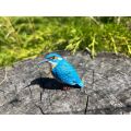 Mojo Eisvogel