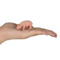 Mojo Schwein fressen