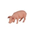 Mojo Schwein fressen