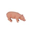 Mojo Schwein fressen