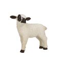 Mojo Hampshire-Lamm stehend