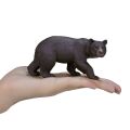 Mojo Amerikanischer Schwarzbär