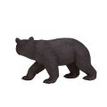 Mojo Amerikanischer Schwarzbär