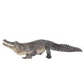 Mojo Alligator