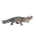 Mojo Alligator