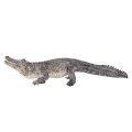 Mojo Alligator