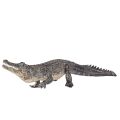 Mojo Alligator
