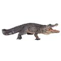 Mojo Alligator