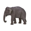 Mojo Asiatischer Elefant