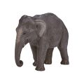 Mojo Asiatischer Elefant