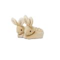 Regenbogen Peter Rabbit erste Schuhe Set