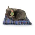 Rappa Plüschhund Französische Bulldogge liegend 23 cm ECO-FRIENDLY