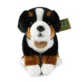 Rappa Plüsch Berner Sennenhund sitzend 25 cm ECO-FRIENDLY