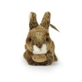 Rappa Braunes Plüschkaninchen liegend 17 cm ECO-FRIENDLY