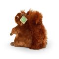 Rappa Plüsch Eichhörnchen 21 cm ECO-FRIENDLY