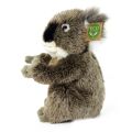 Rappa Plüsch Koala 22 cm ECO-FRIENDLY