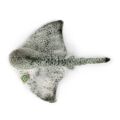 Rappa Plüsch-Stachelrochen 43 cm ECO-FRIENDLY