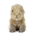Rappa Plüsch-Capybara 18 cm ECO-FRIENDLY