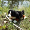Rappa Liegender Berner Sennenhund Plüsch 44 cm ECO-FRIENDLY
