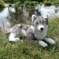 Rappa Plüschhund Husky liegend 60 cm ECO-FRIENDLY