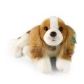 Rappa Plüschhund Cavalier King Charles Spaniel 40 cm ECO-FRIENDLY