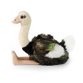Rappa Plüschstrauß 33 cm ECO-FRIENDLY PLUSH WORLD