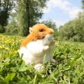 Rappa Plüschhamster 13 cm ECO-FRIENDLY