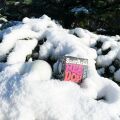 Schylling Schnee-Knusperkugel