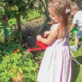 Bigjigs Toys Rote Teekanne