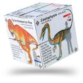 Zoobookoo Buch in Kürze Dinosaurier