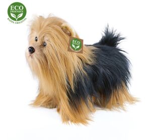 Rappa Plüsch Yorkshire stehend 30 cm ECO-FRIENDLY
