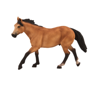 Mojo American Quarter Horse falbe