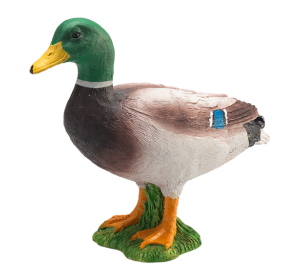 Mojo Stockente Erpel
