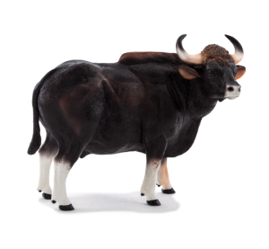 Mojo Gaur Bulle
