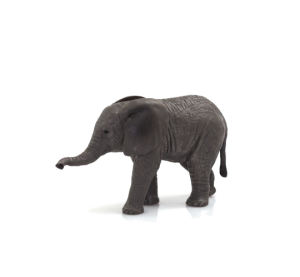 Mojo Afrikanischer Elefant Kalb