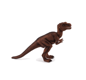 Mojo T. rex Junge