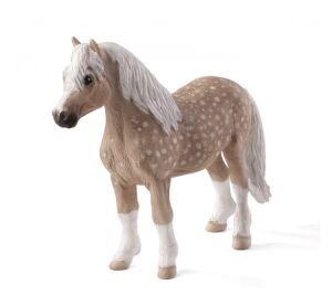 Mojo Welsh-Pony
