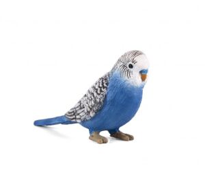 Mojo Wellensittich blau