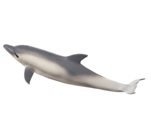 Mojo Delfin