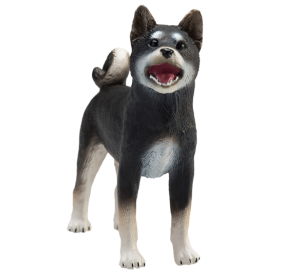 Mojo Hund Shiba schwarz
