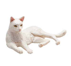 Mojo Katze weiß liegend