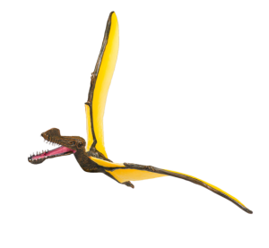 Mojo Tropeognathus