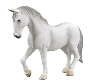 Mojo Lipizzaner Stute