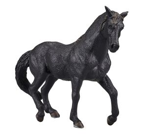 Mojo Andalusier schwarz
